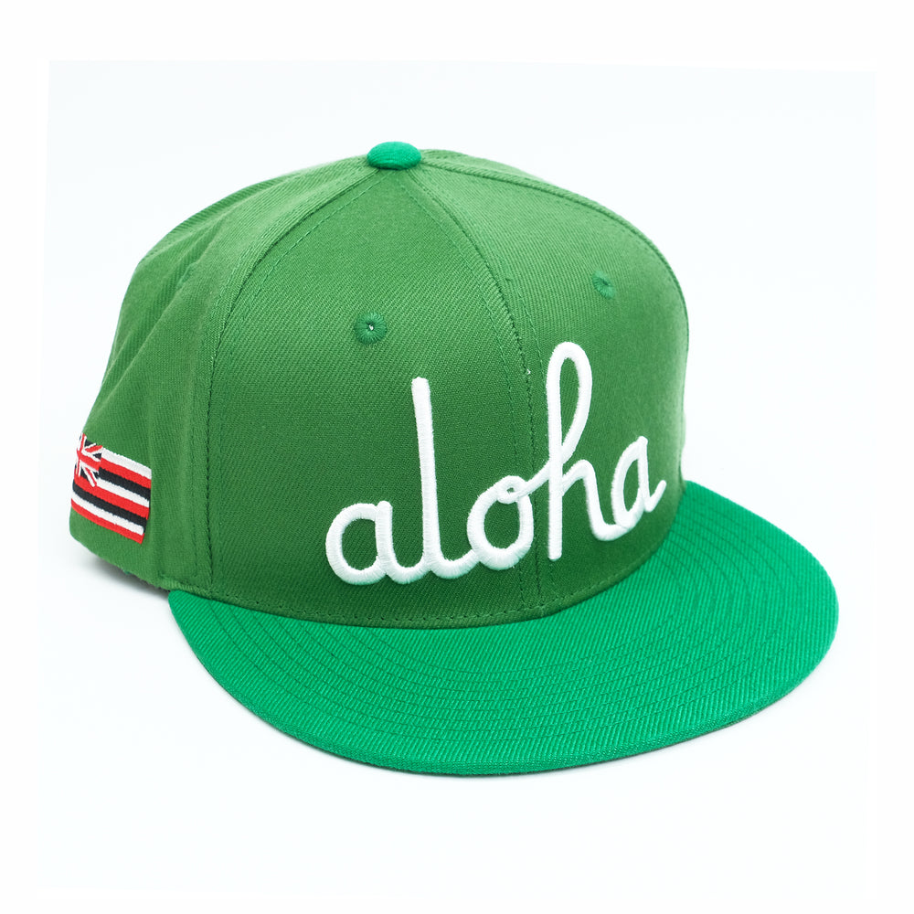 AA SPLAT SNAPBACK