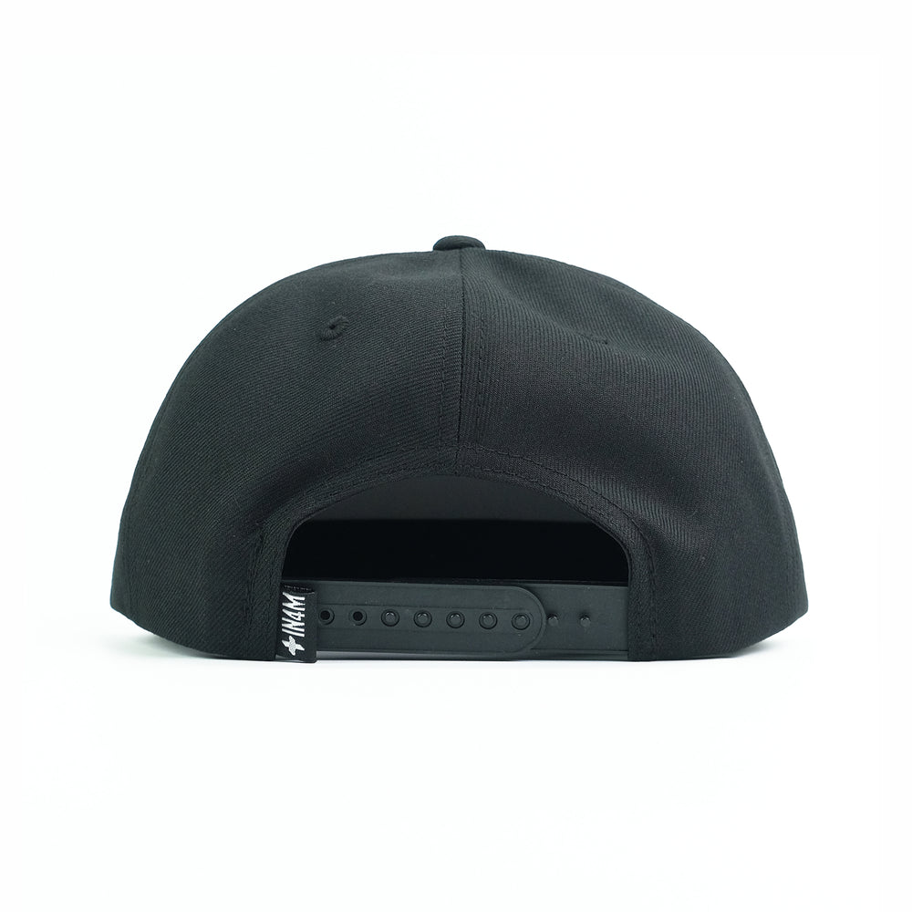 FYI SNAPBACK