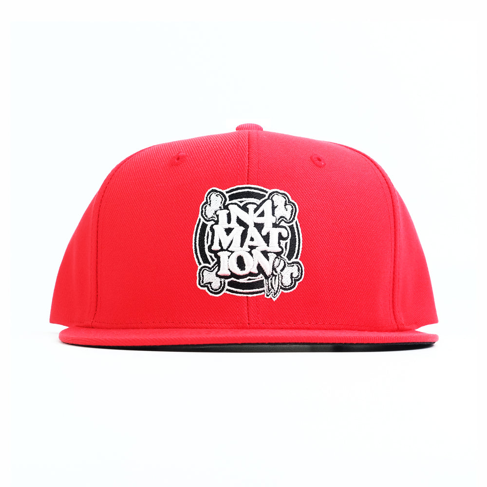 FYI SNAPBACK