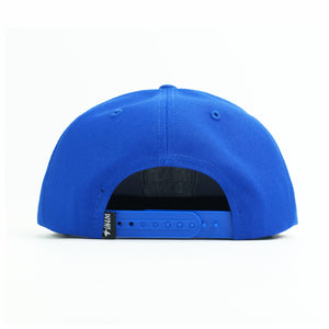 FYI SNAPBACK