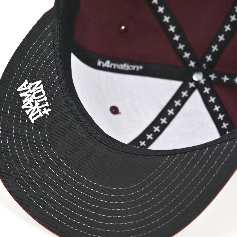 HI SCRIPT SNAPBACK
