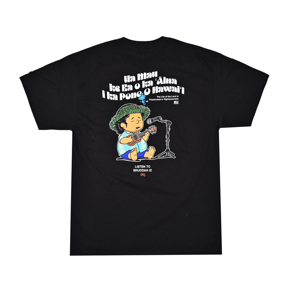 AA HAWAII 78 TEE