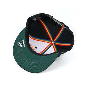 KIDS VINTAGE HAWAII SNAPBACK – IN4MATION Store