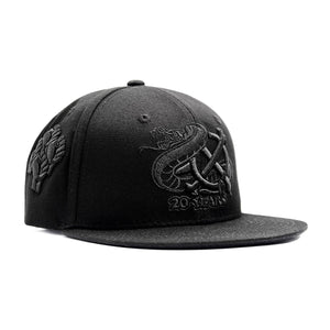 20 YEAR SNAPBACK
