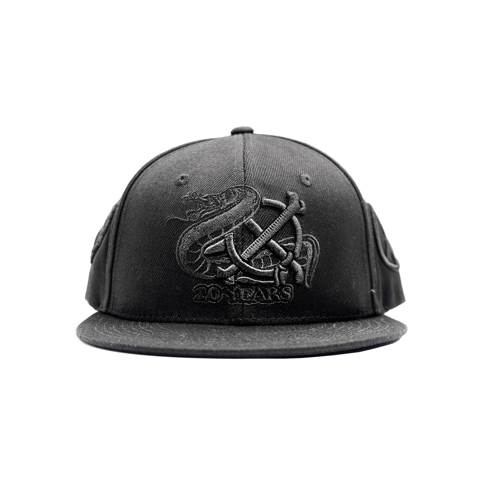 20 YEAR SNAPBACK