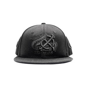 20 YEAR SNAPBACK