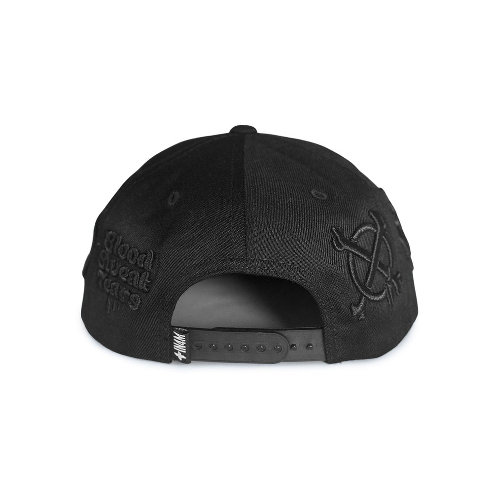 20 YEAR SNAPBACK