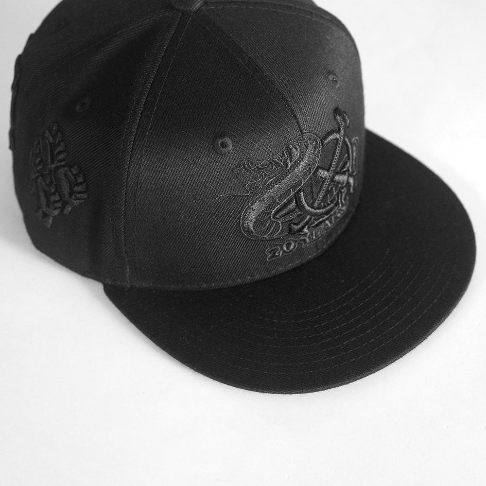 20 YEAR SNAPBACK