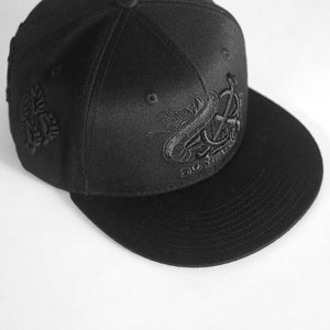20 YEAR SNAPBACK