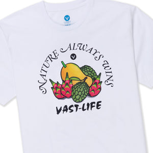 FRUITS TEE B3799