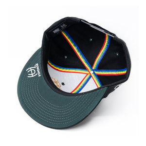 VINTAGE HAWAII SNAPBACK