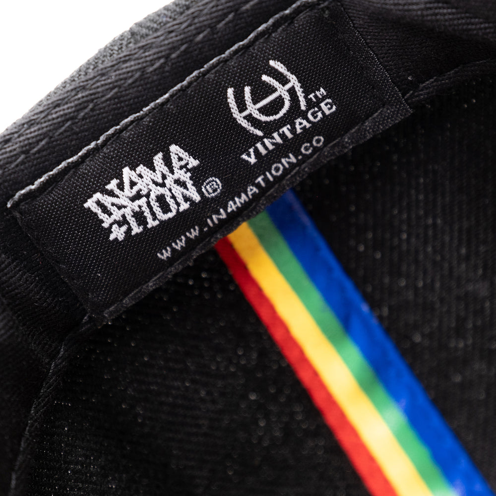 VINTAGE HAWAII SNAPBACK