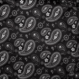 PAYS REVERSIBLE COACH JACKET